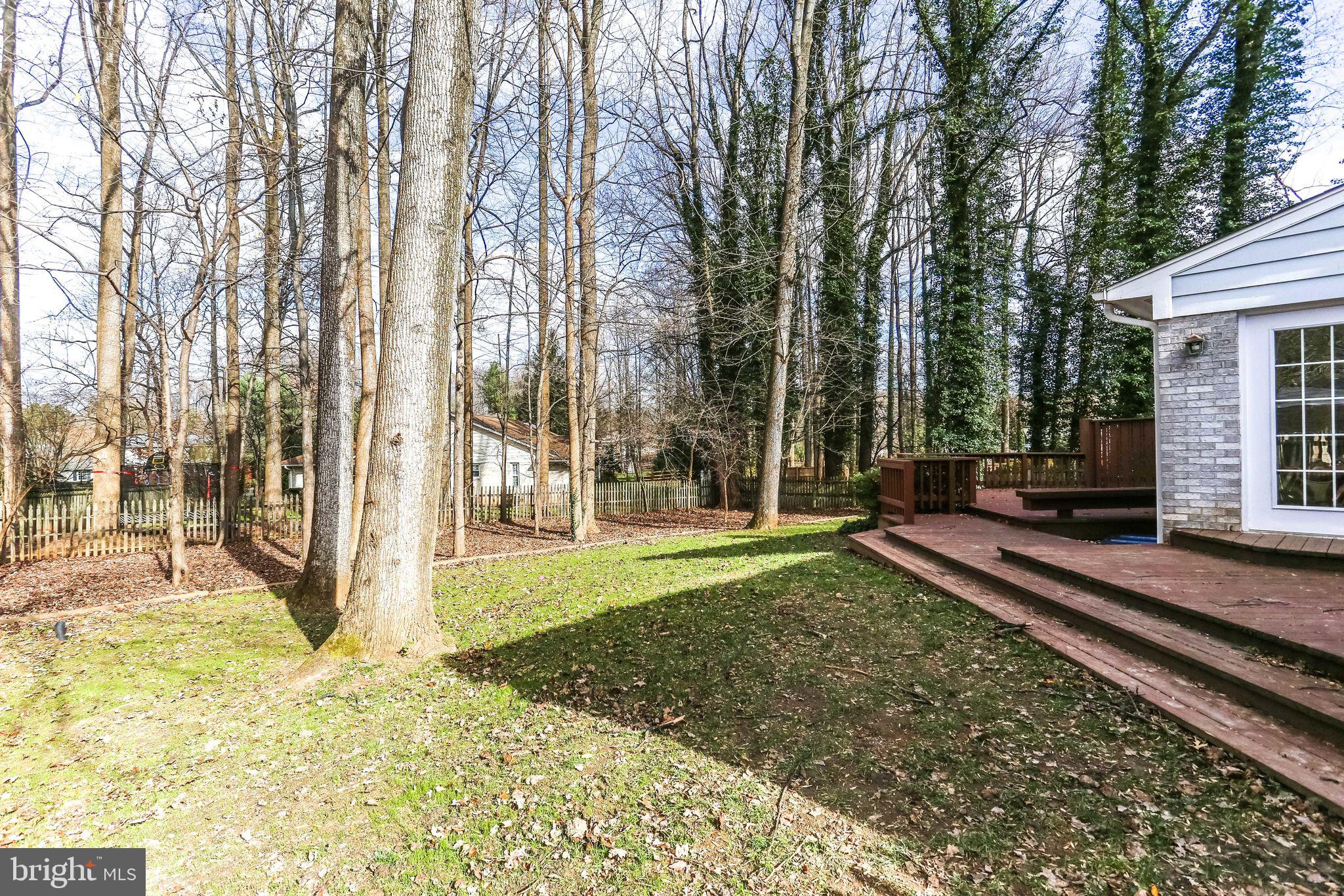 705 Ridge Drive McLean, VA 22101 - Photo 41 of 41 Rear Yard