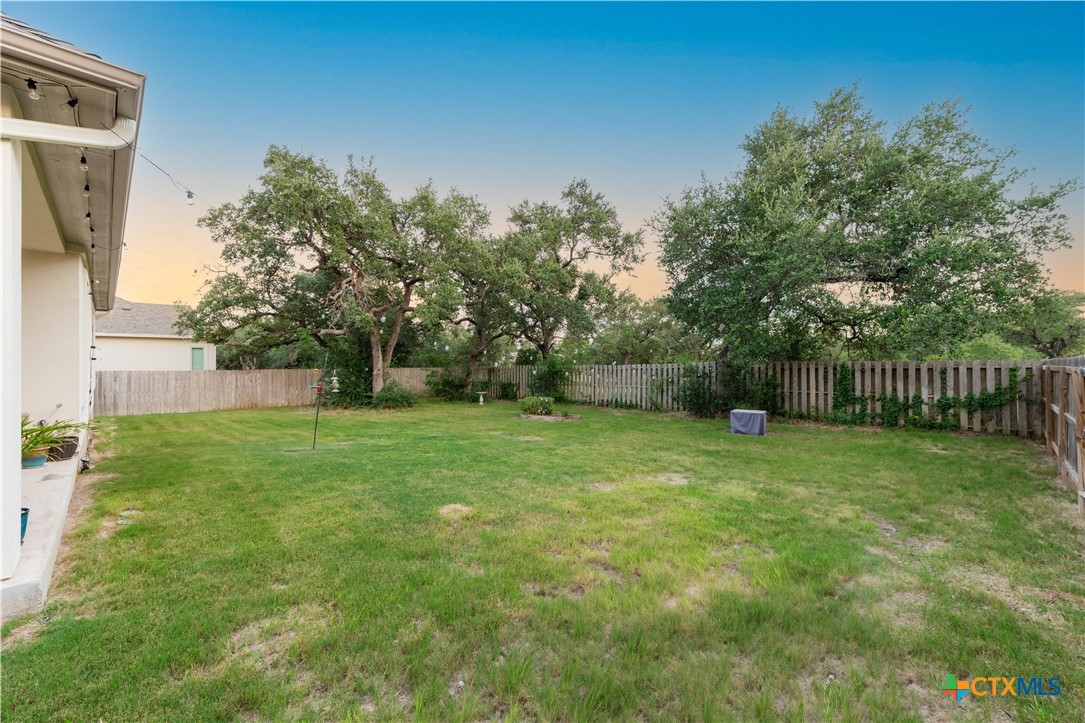 264 Axis Loop Georgetown, TX 78628 - Photo 28 of 33 a backyard of a house with trees and plants