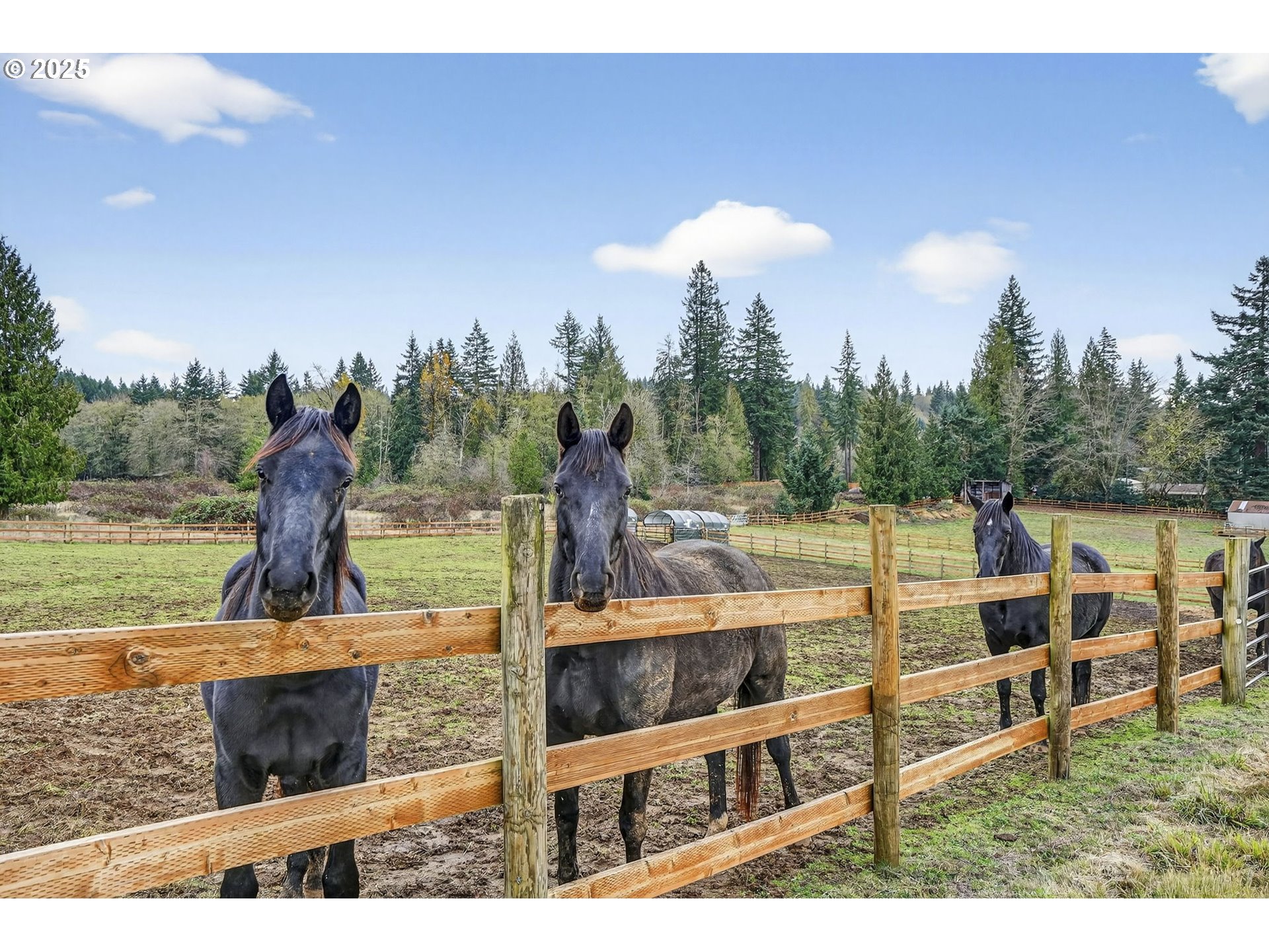 42101 Southeast Locksmith Lane Sandy, OR 97055 - Photo 40 of 48