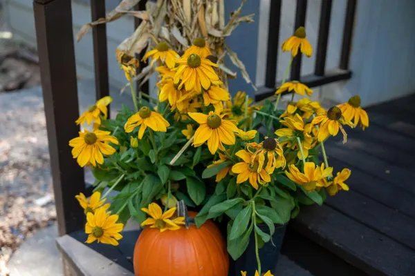 a flower plant in a pot with a vase of flowers