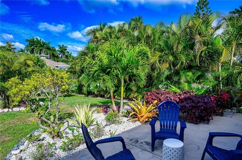 a view of a backyard with plants