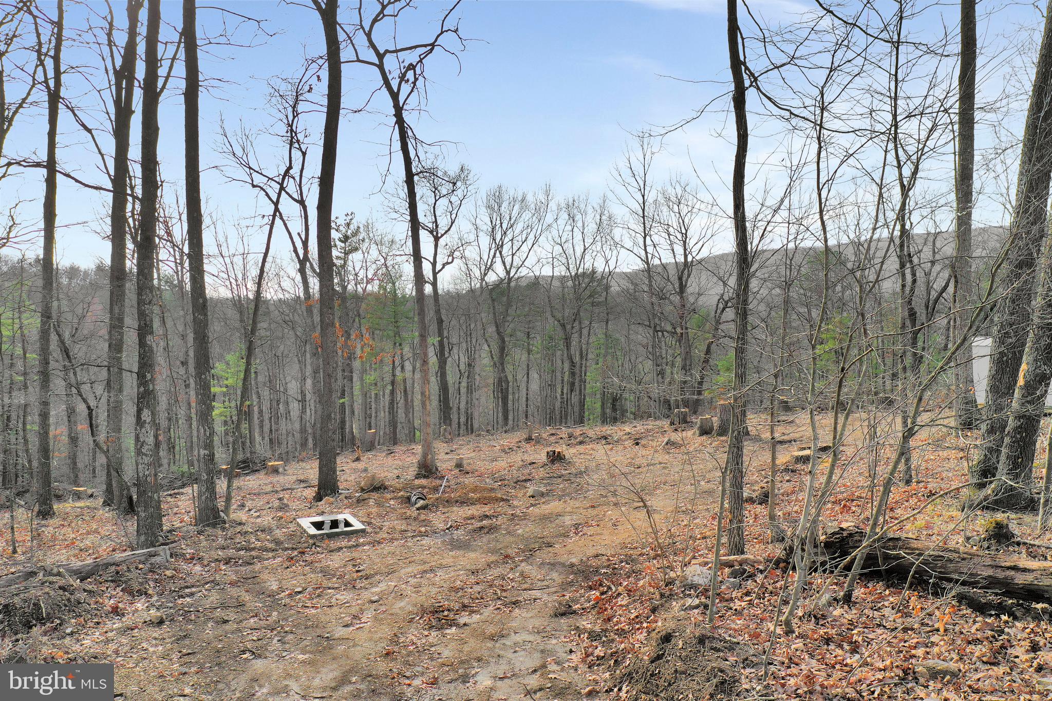 Durbin Road Hedgesville, WV 25427 - Photo 26 of 29 Gallery Image 26