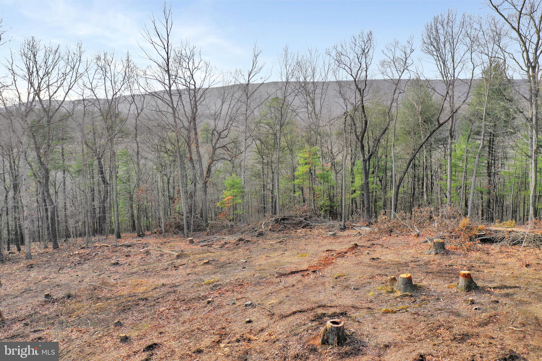 Durbin Road Hedgesville, WV 25427 - Photo 27 of 29 Gallery Image 27
