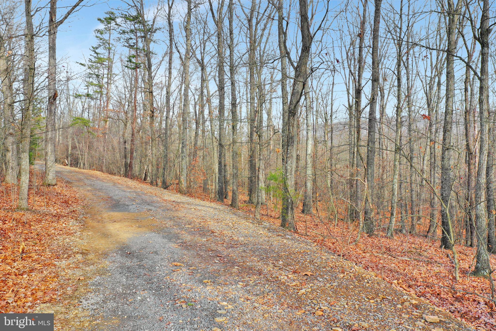 Durbin Road Hedgesville, WV 25427 - Photo 28 of 29 Gallery Image 28