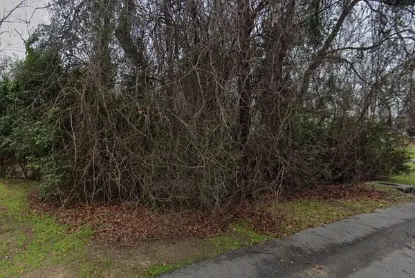 $20,000 | 0 Irick Street, Eutawville, SC 29048