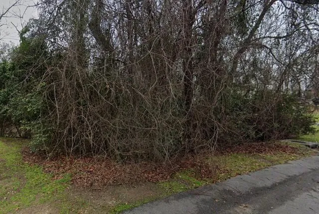 $20,000 | 0 Irick Street, Eutawville, SC 29048