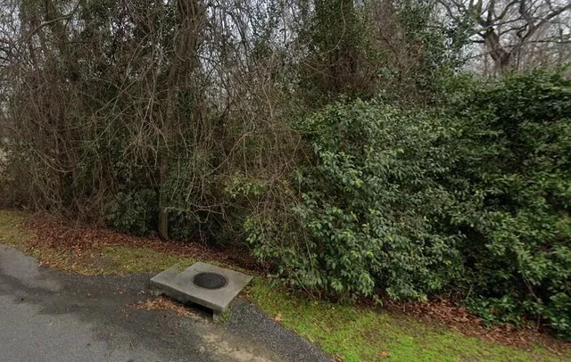 $20,000 | 0 Irick Street, Eutawville, SC 29048