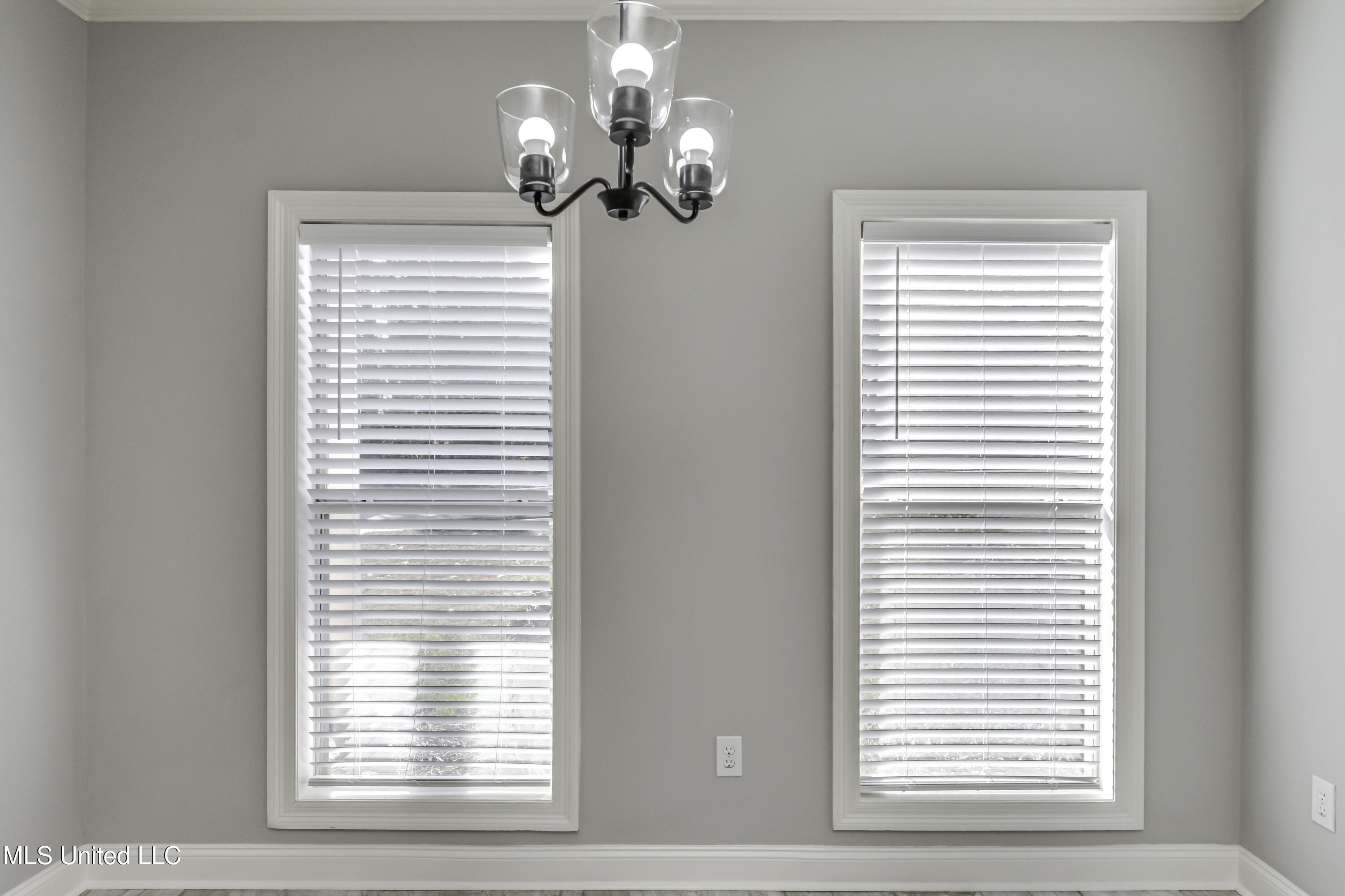 307 Meadowview Lane Brandon, MS 39047 - Photo 20 of 58 307 Meadowview Lane--34