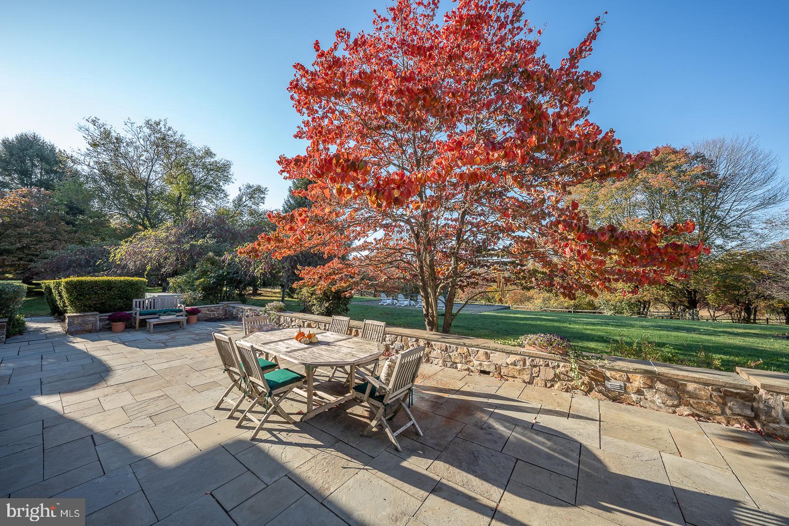 847 Providence Road Malvern, PA 19355 - Photo 63 of 81 Flagstone Patio & Views
