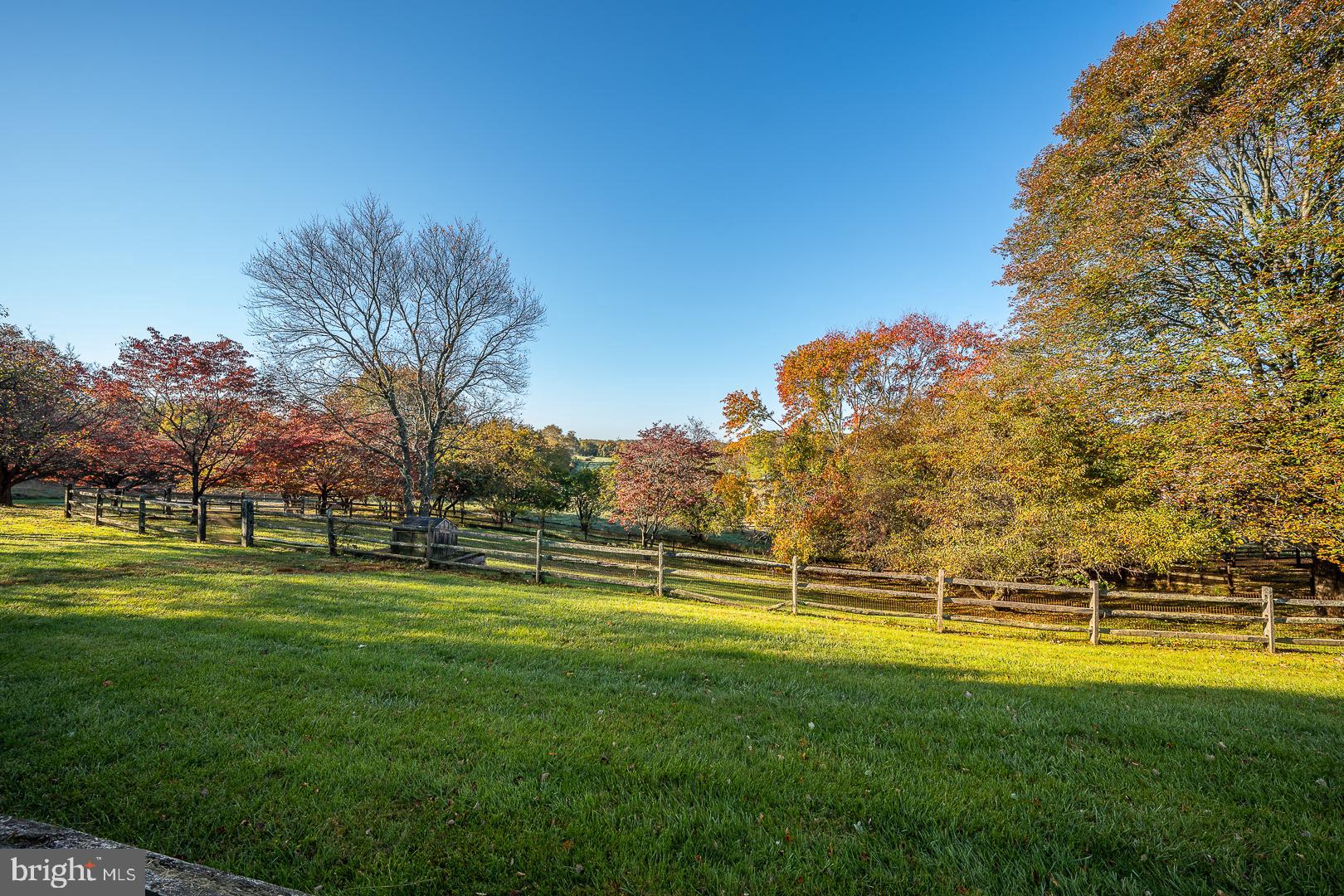 847 Providence Road Malvern, PA 19355 - Photo 65 of 81 Yard