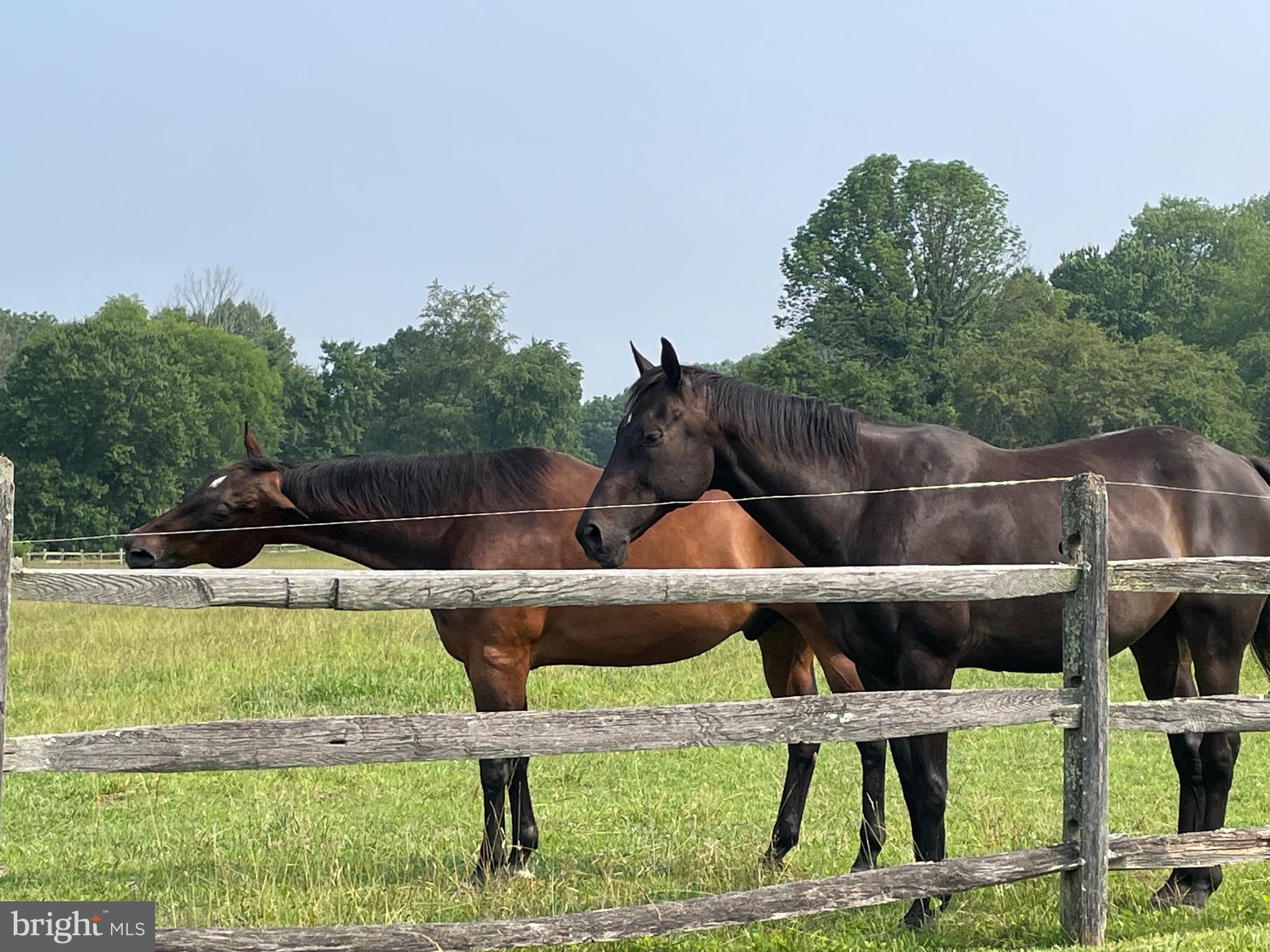 847 Providence Road Malvern, PA 19355 - Photo 67 of 81 2 Fenced Pastures