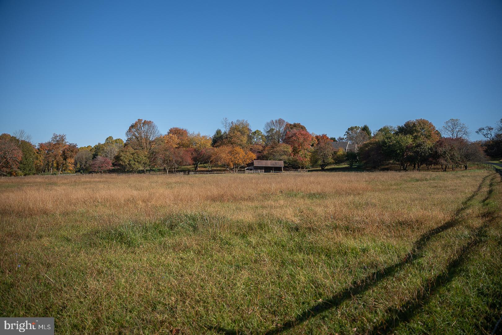 847 Providence Road Malvern, PA 19355 - Photo 68 of 81 Fenced Horse Pasture w/Run in Shed