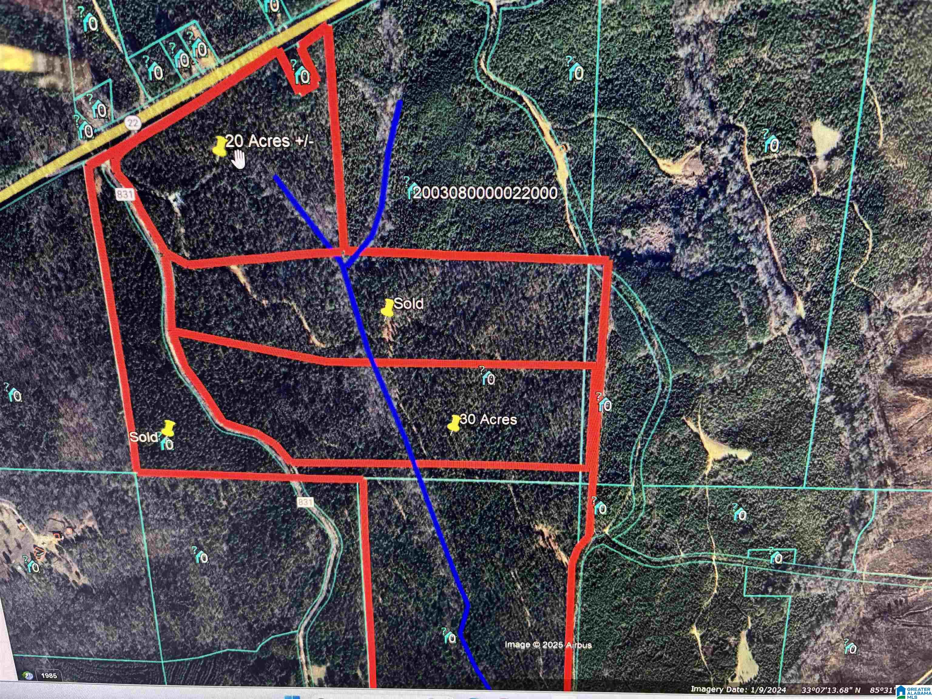 831 County Road, Unit TRACT 1 20± Wadley, AL 36276 - Photo 5 of 7