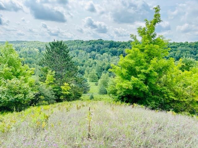 8559 Homestead Road Benzonia, MI 49616 - Photo 12 of 42