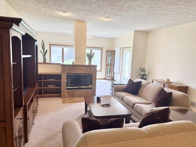 400 South Rice Street, Unit 2 Whitewater, WI 53190 - Photo 11 of 27 LIVING ROOM WITH FIREPLACE