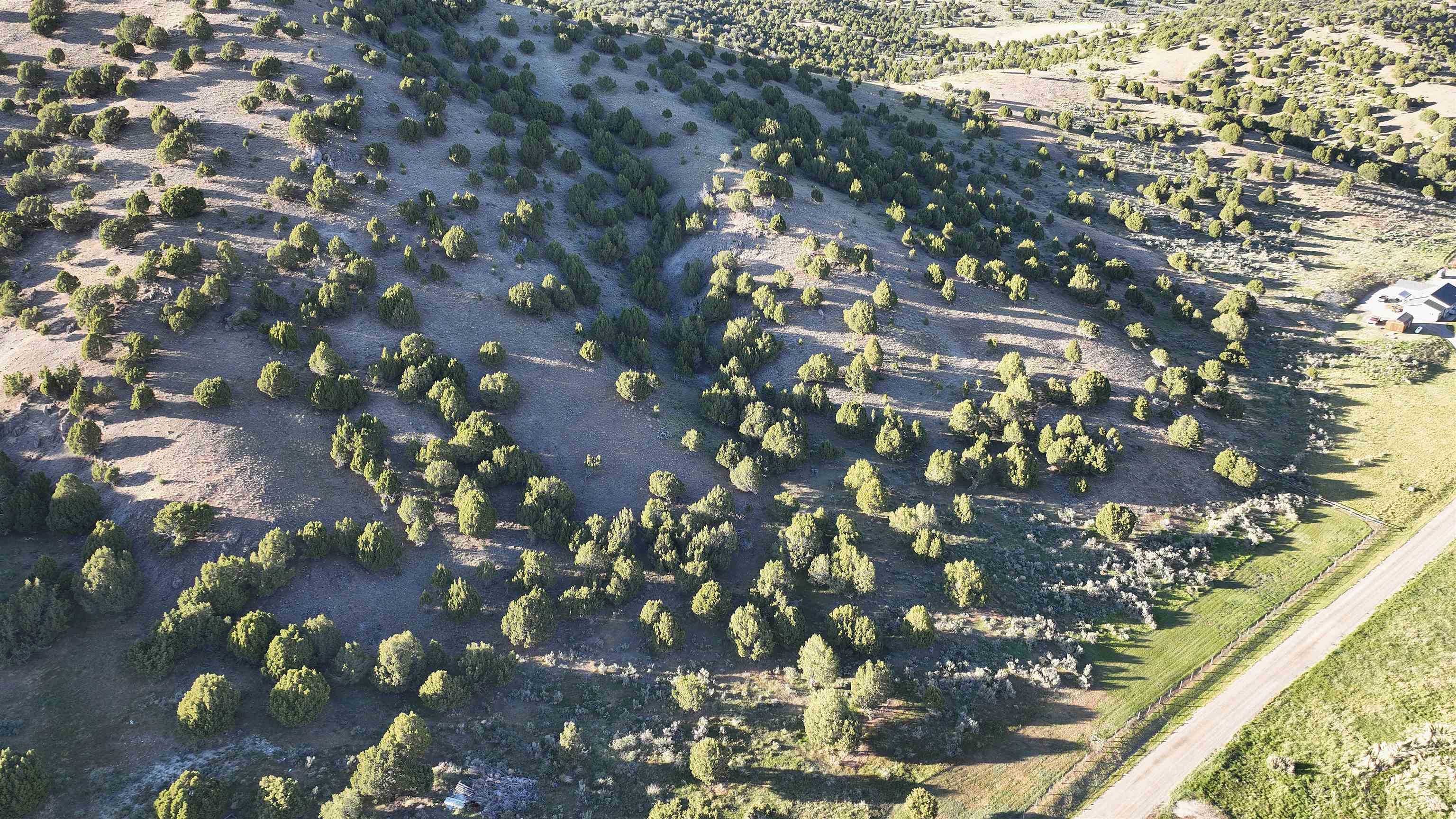 2006 Swensen Valley Road Bancroft, ID 83217 - Photo 49 of 50 Gallery Image 49
