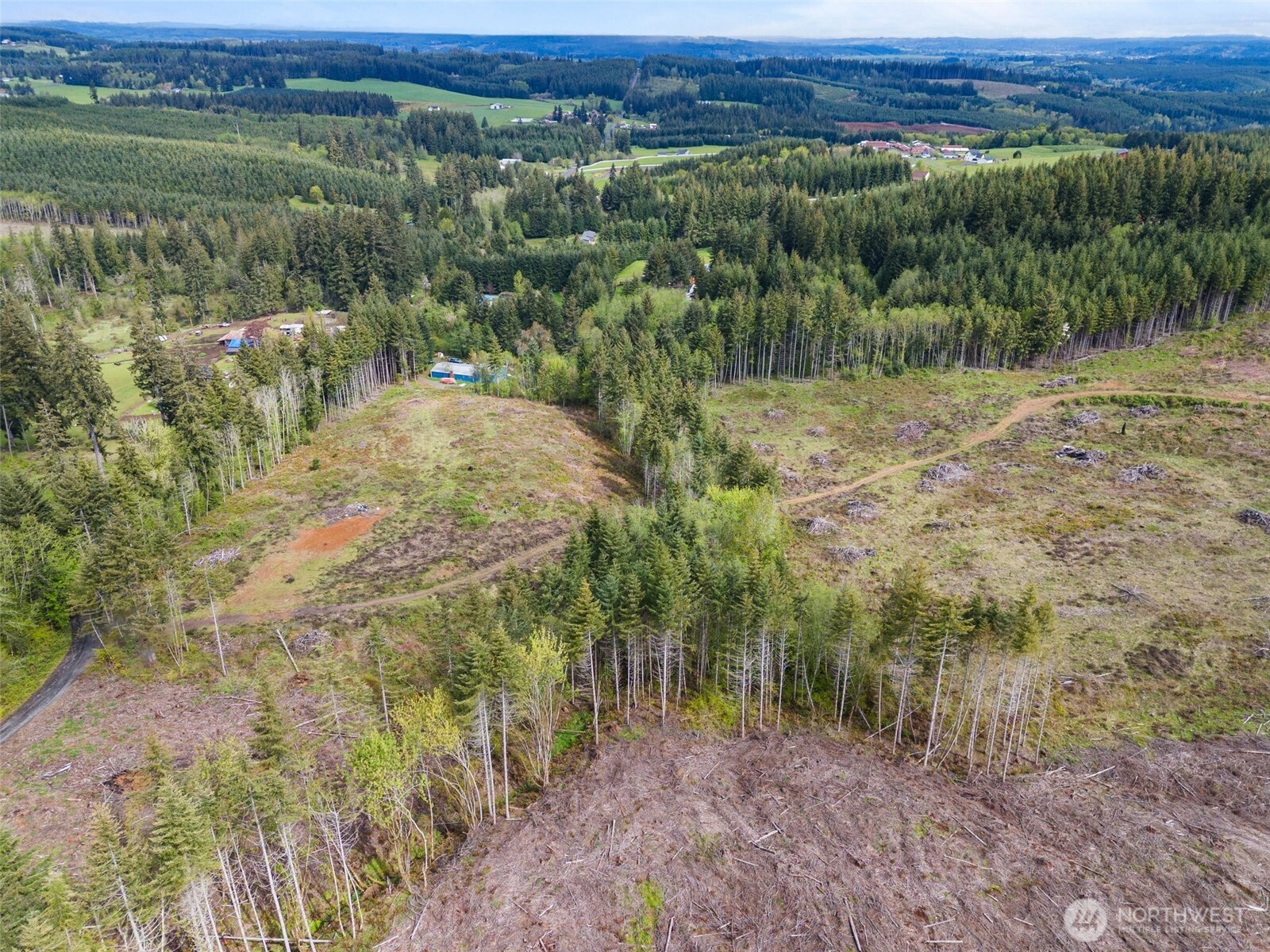 0 Cousins Road Chehalis, WA 98532 - Photo 4 of 13 a view of a forest with a lake