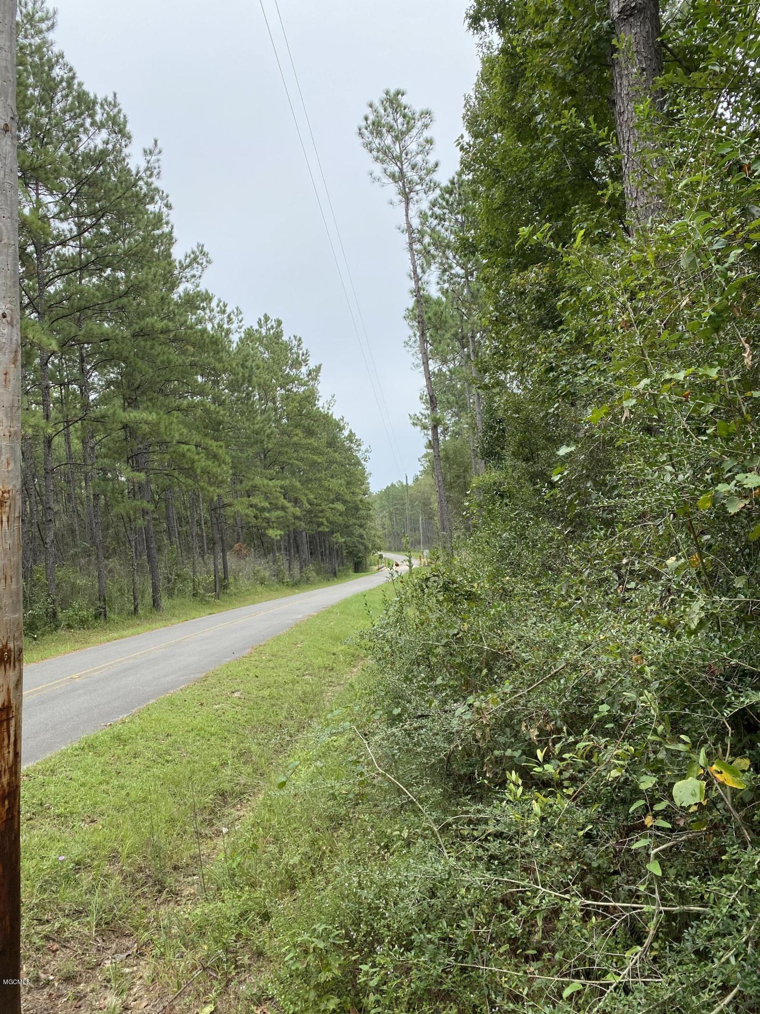 14149 Martha Redmond Road Saucier, MS 39574 - Photo 2 of 6 IMG_9817