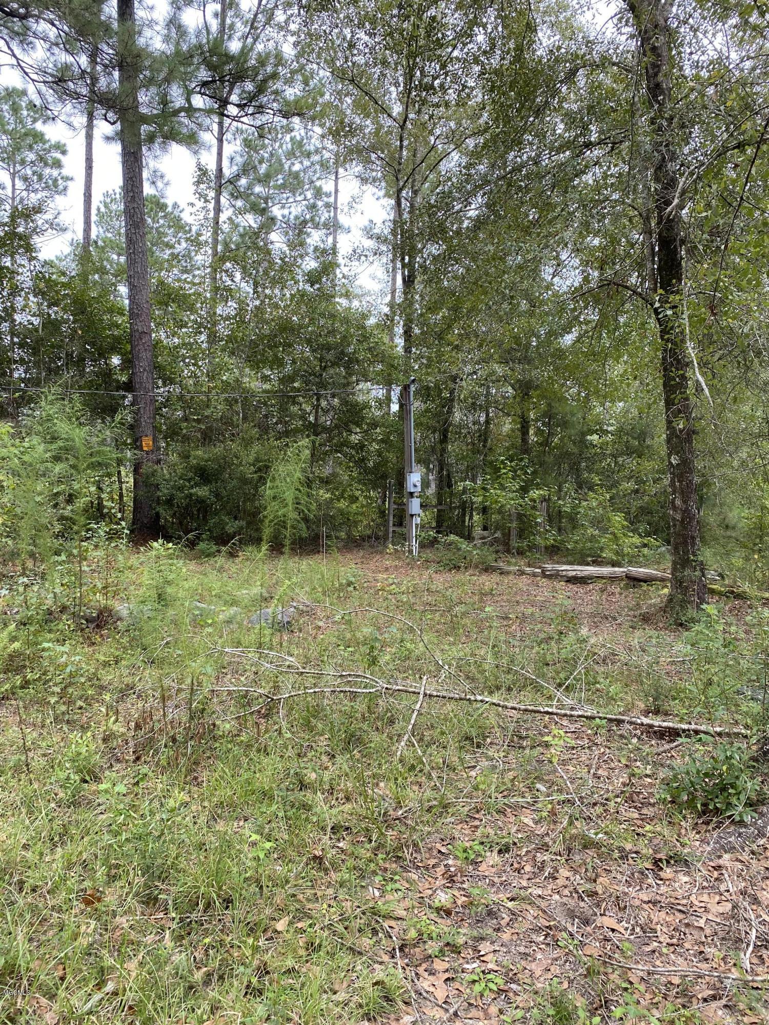 14149 Martha Redmond Road Saucier, MS 39574 - Photo 5 of 6 IMG_9821