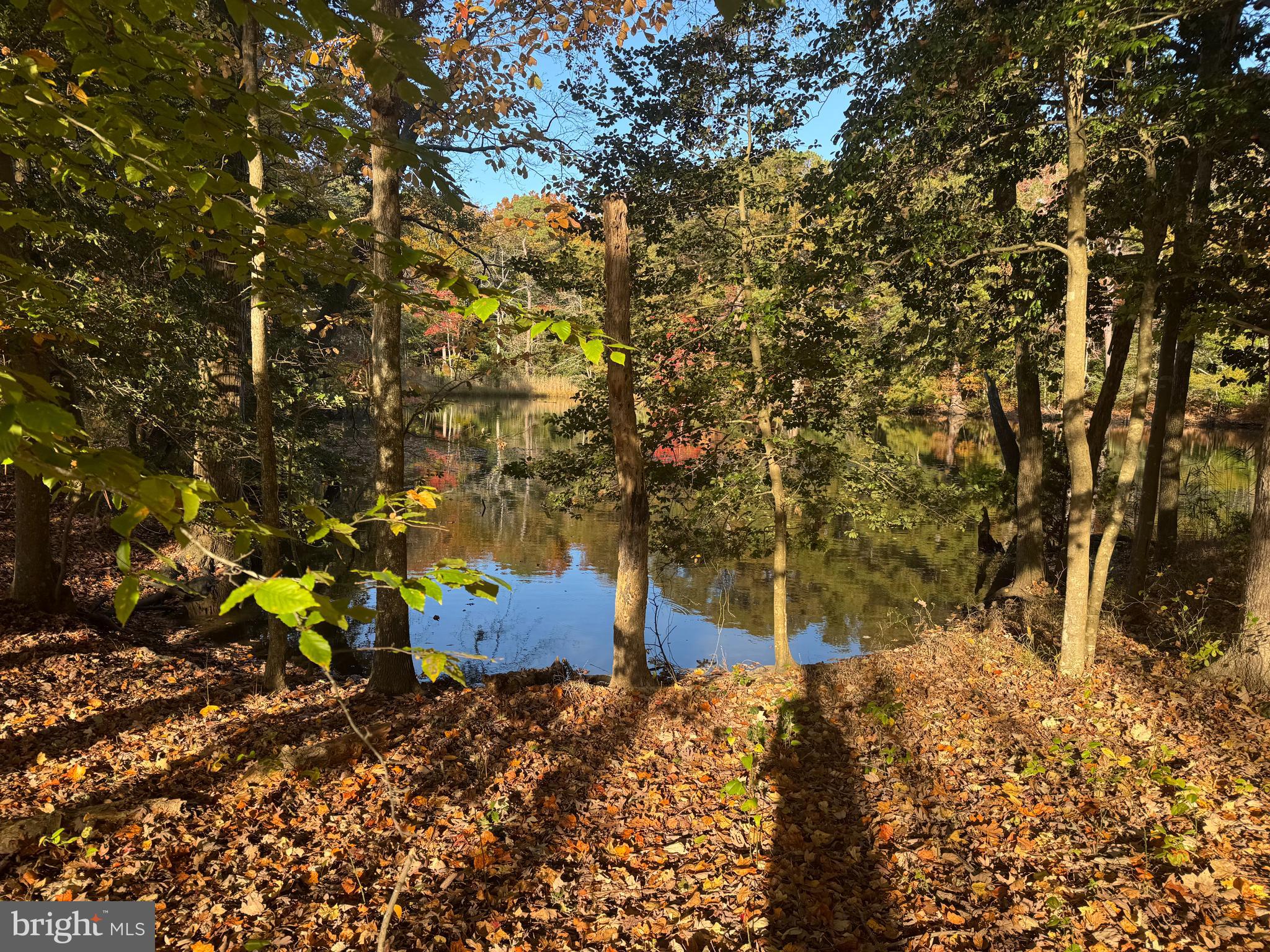 River Run Lane Berlin, MD 21811 - Photo 6 of 6 a backyard of a house with lots of green space