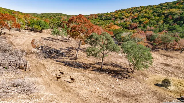 $1,800,000 | 225 Arrowhead Lane, Pipe Creek, TX 78063