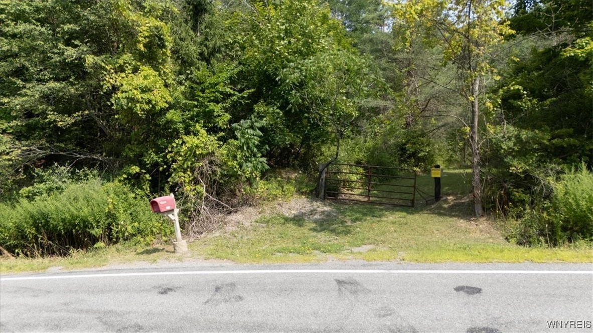 23 Knapp Road West Falls, NY 14170 - Photo 2 of 7