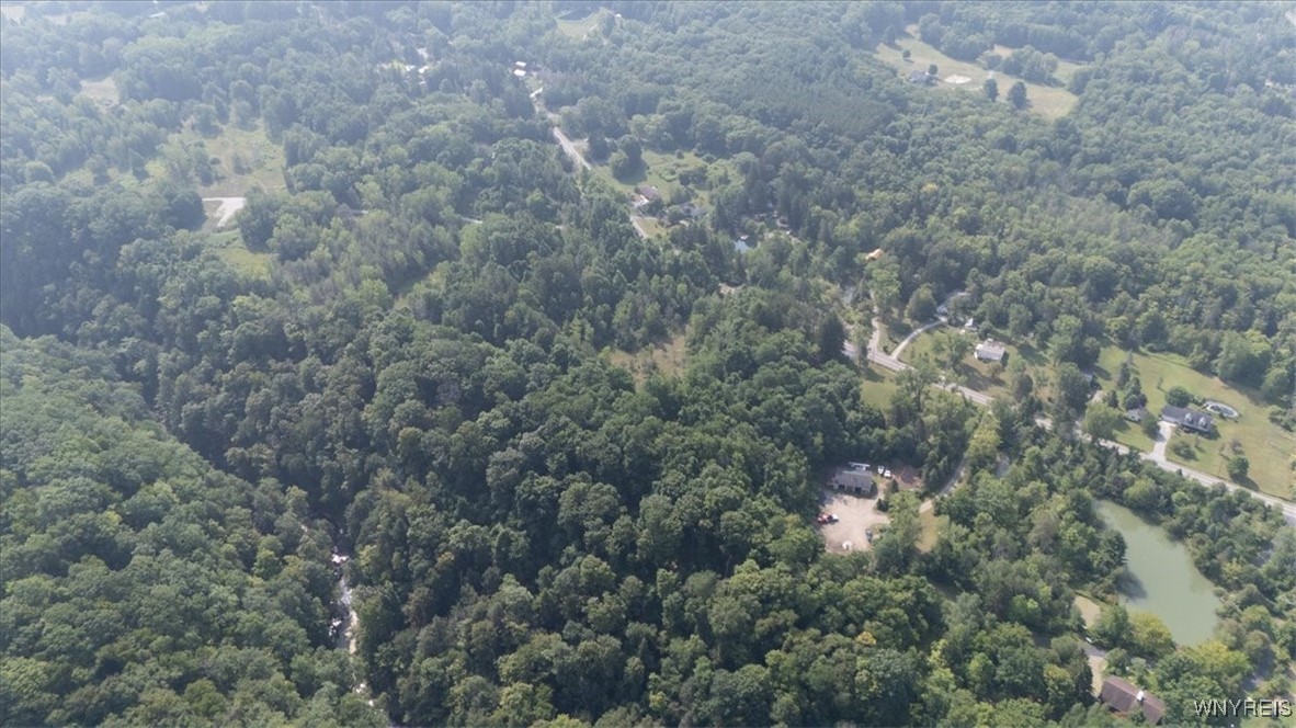 23 Knapp Road West Falls, NY 14170 - Photo 3 of 7