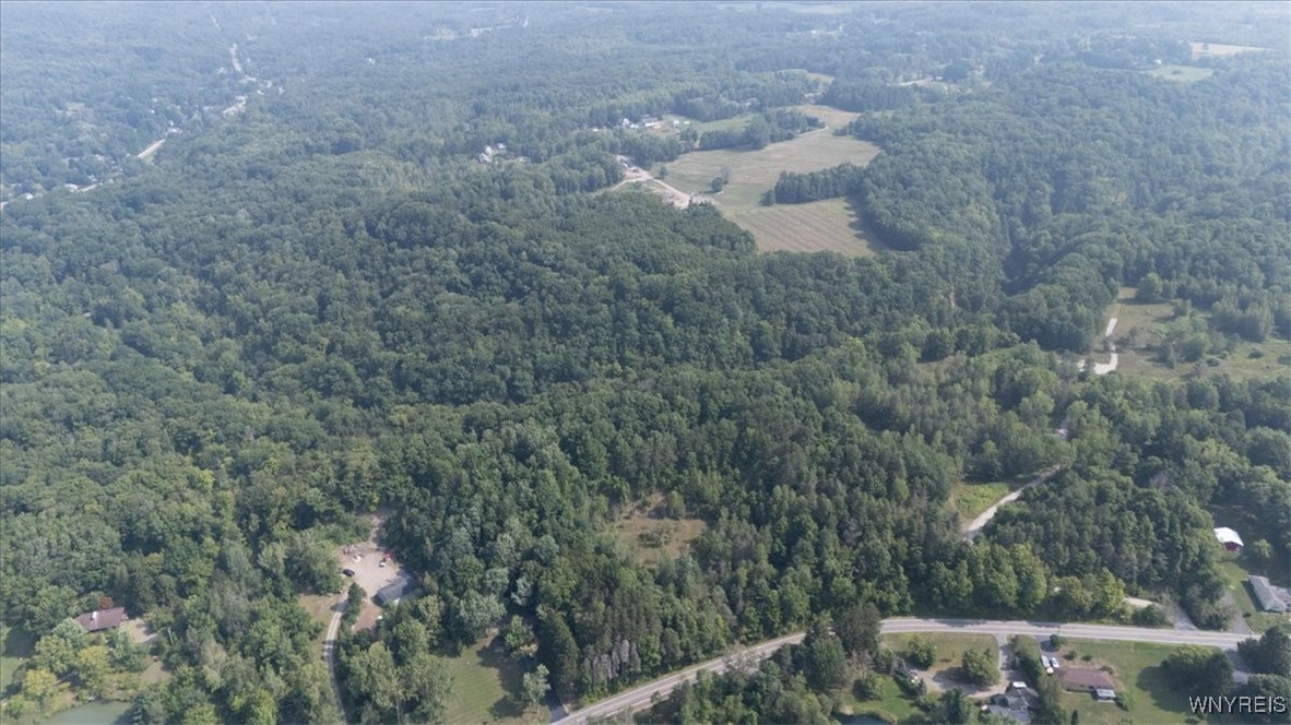 23 Knapp Road West Falls, NY 14170 - Photo 4 of 7