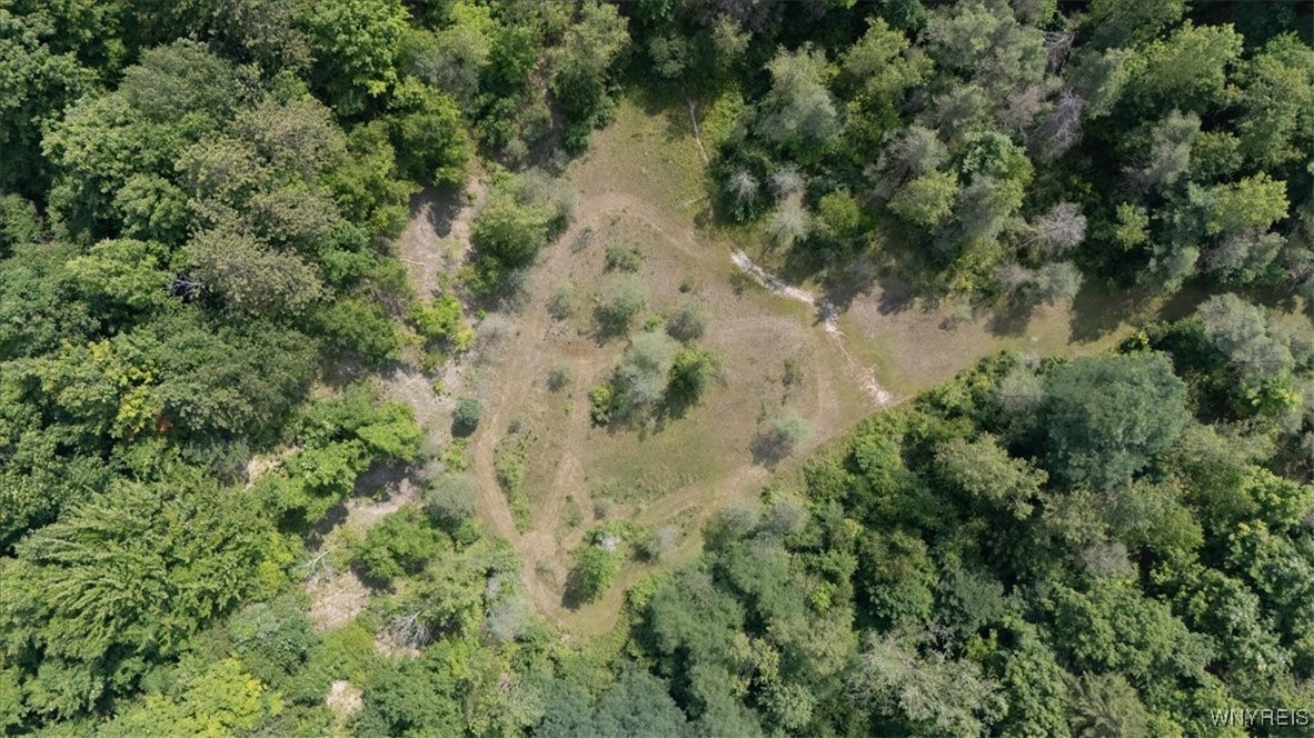 23 Knapp Road West Falls, NY 14170 - Photo 6 of 7