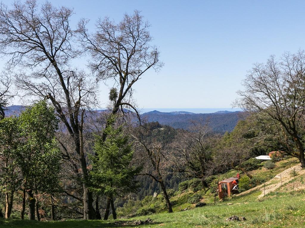 20143 Beatty Ridge Road Los Gatos, CA 95033 - Photo 35 of 38