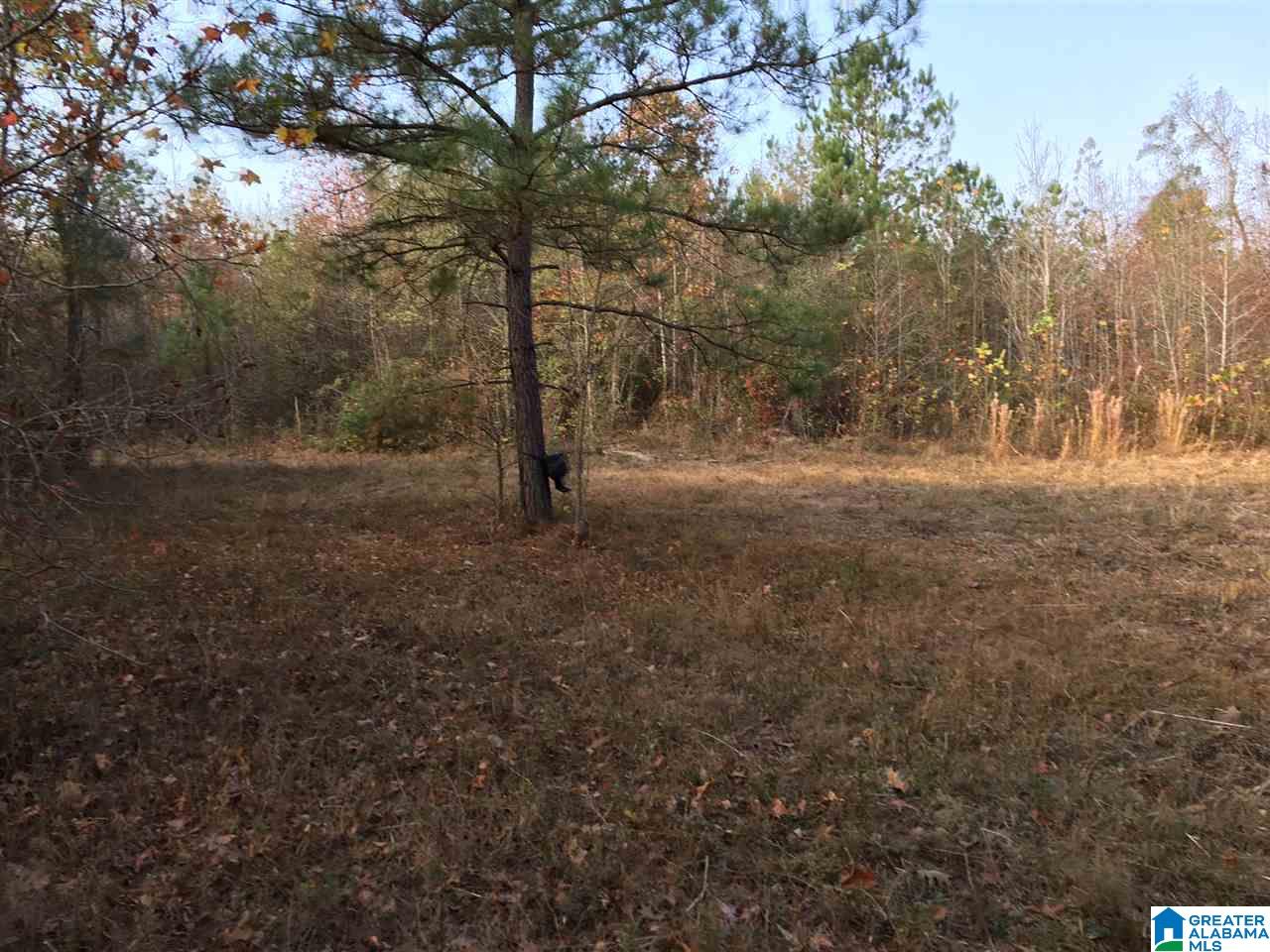0 Wooden Trace Circle, Unit 30 Springville, AL 35146 - Photo 19 of 25