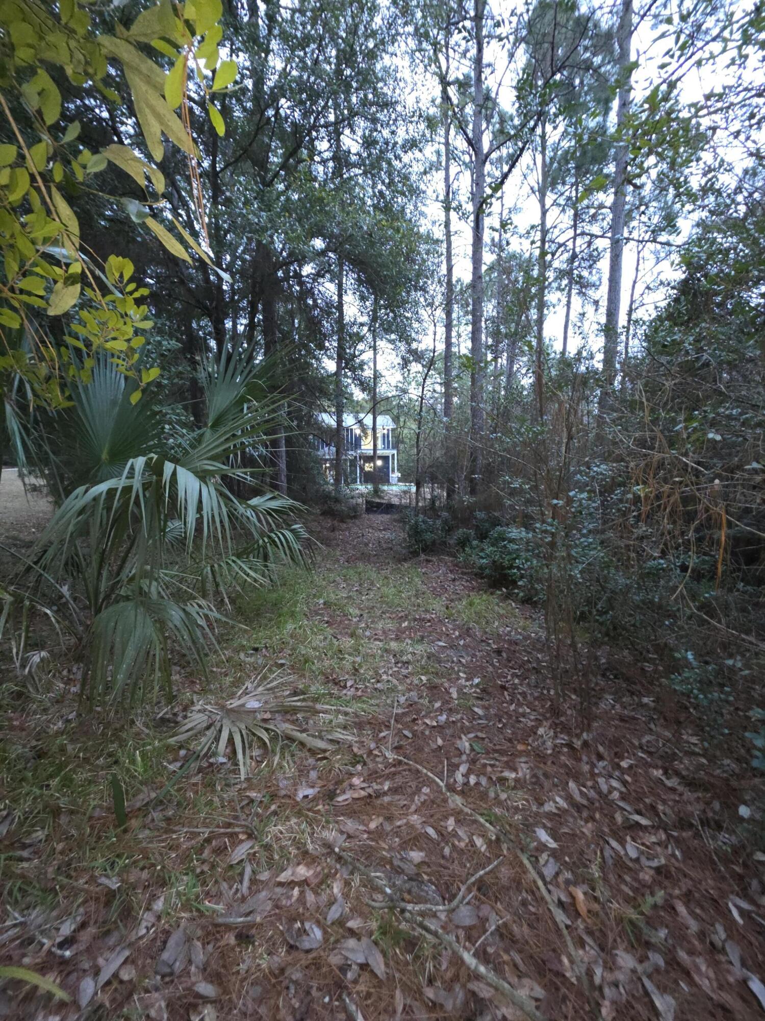 4699 Meadow Lake Drive Crestview, FL 32539 - Photo 38 of 38 a view of a yard with plants and trees