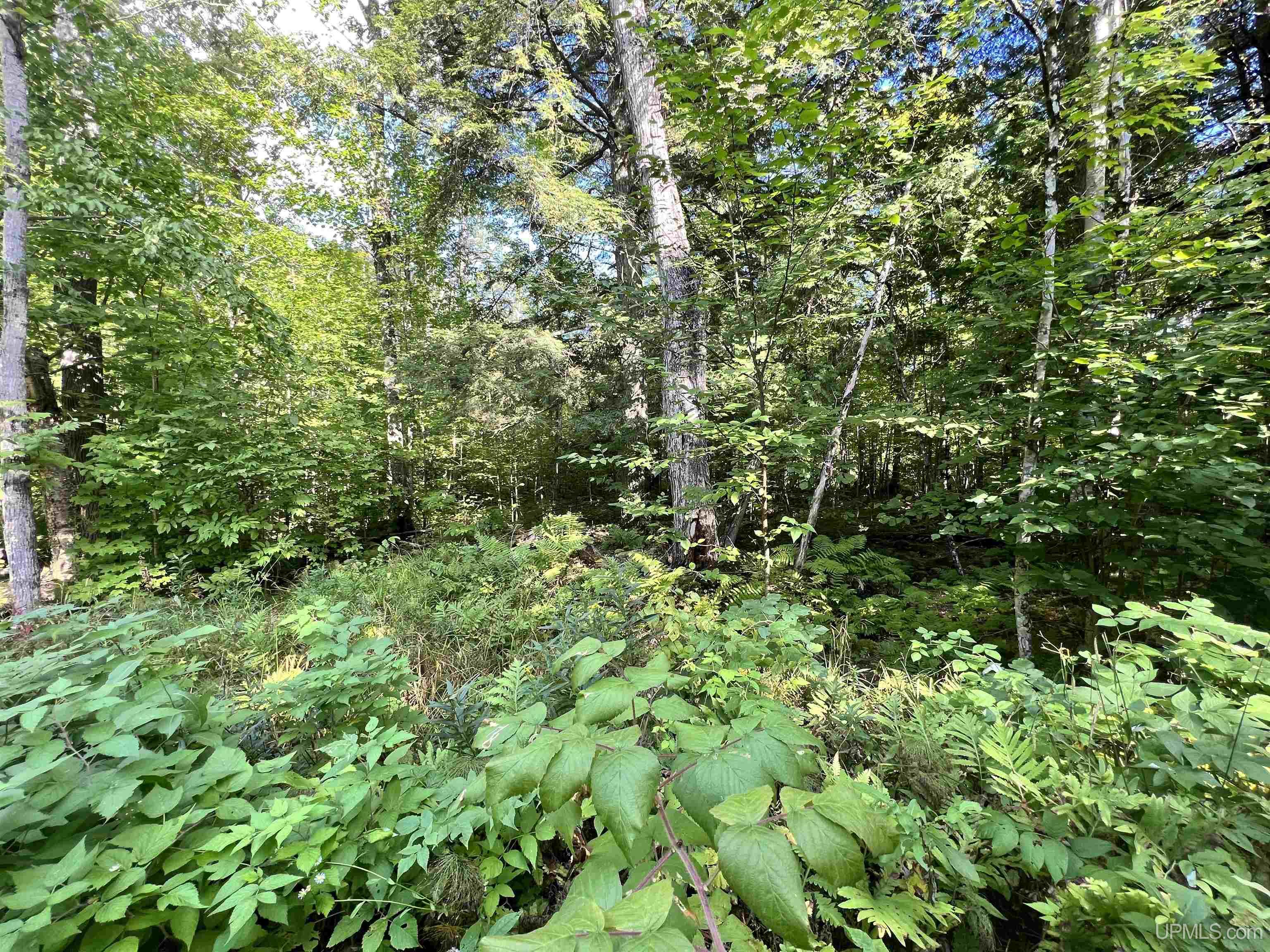 67-68 69 Brown Road Pelkie, MI 49952 - Photo 4 of 9
