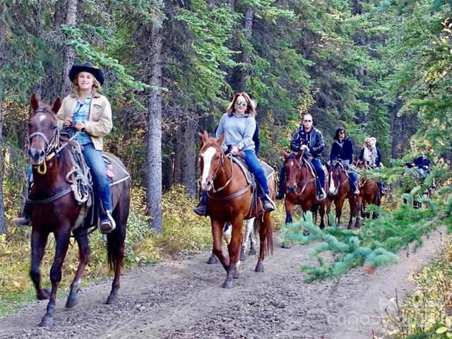 a view of an outdoor space