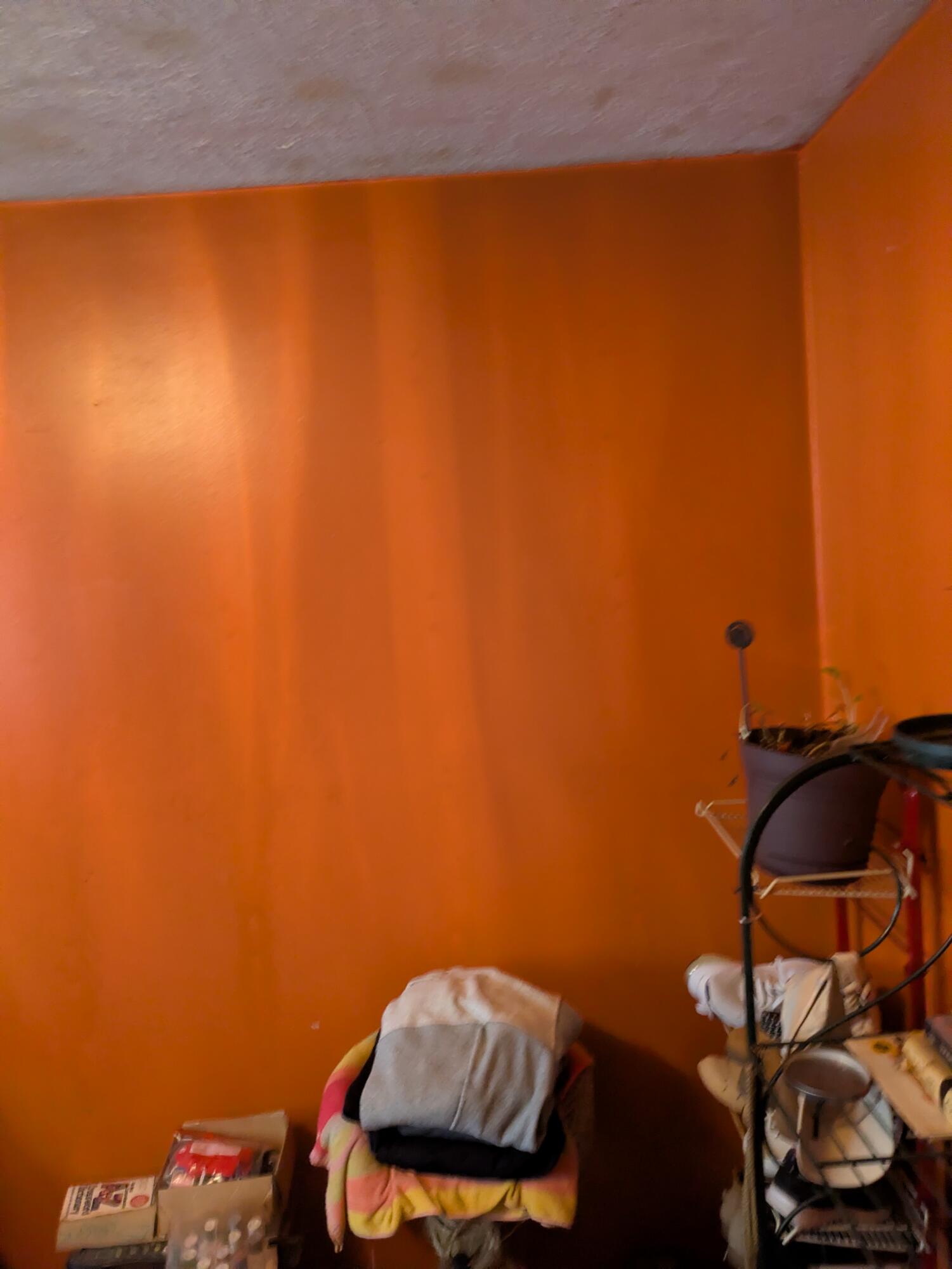 18924 Bentler Street Detroit, MI 48219 - Photo 8 of 23 PXL_20260122_173311999