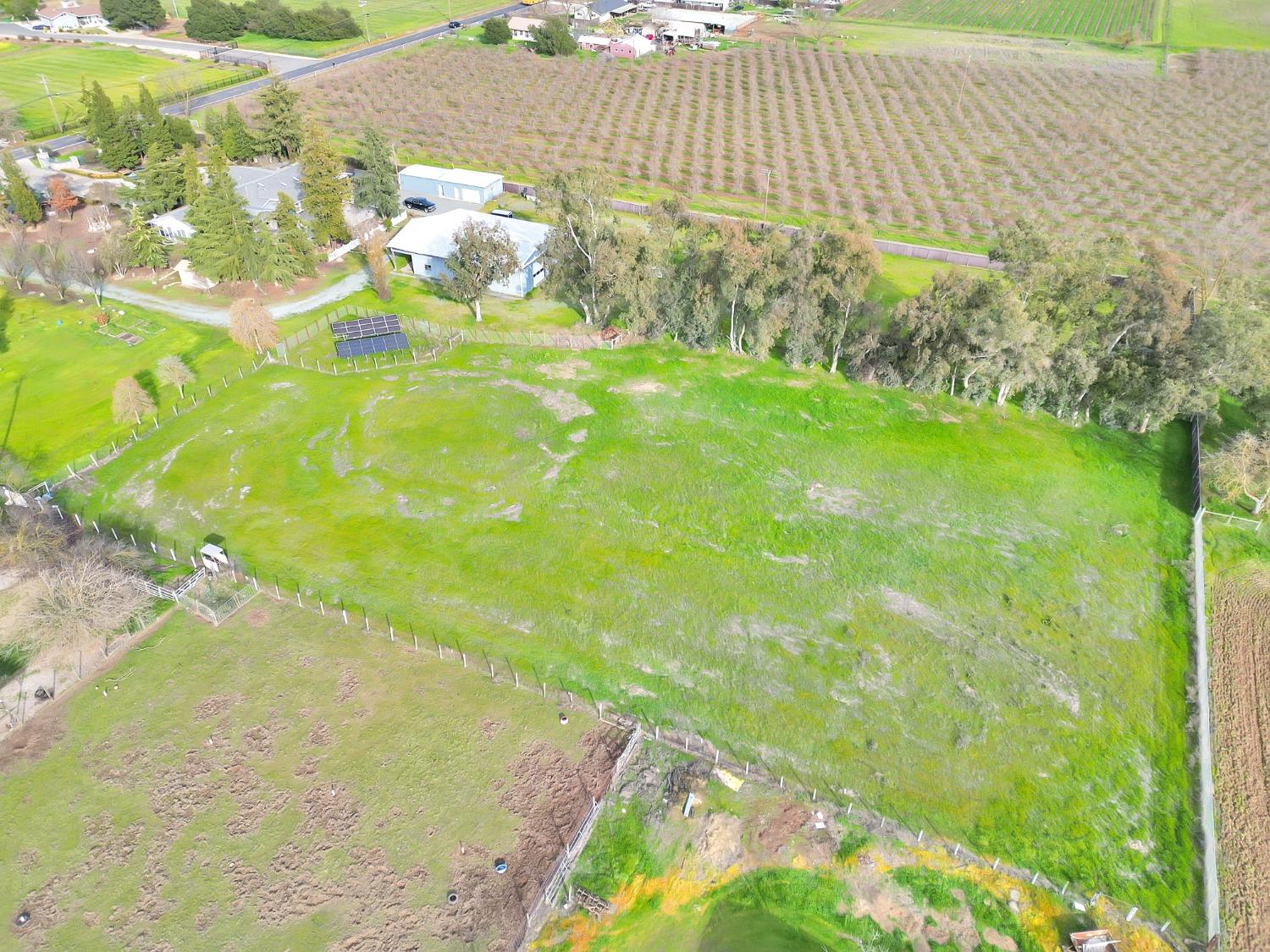 20388 Highway 99 Acampo, CA 95220 - Photo 9 of 24 a view of yard with large trees