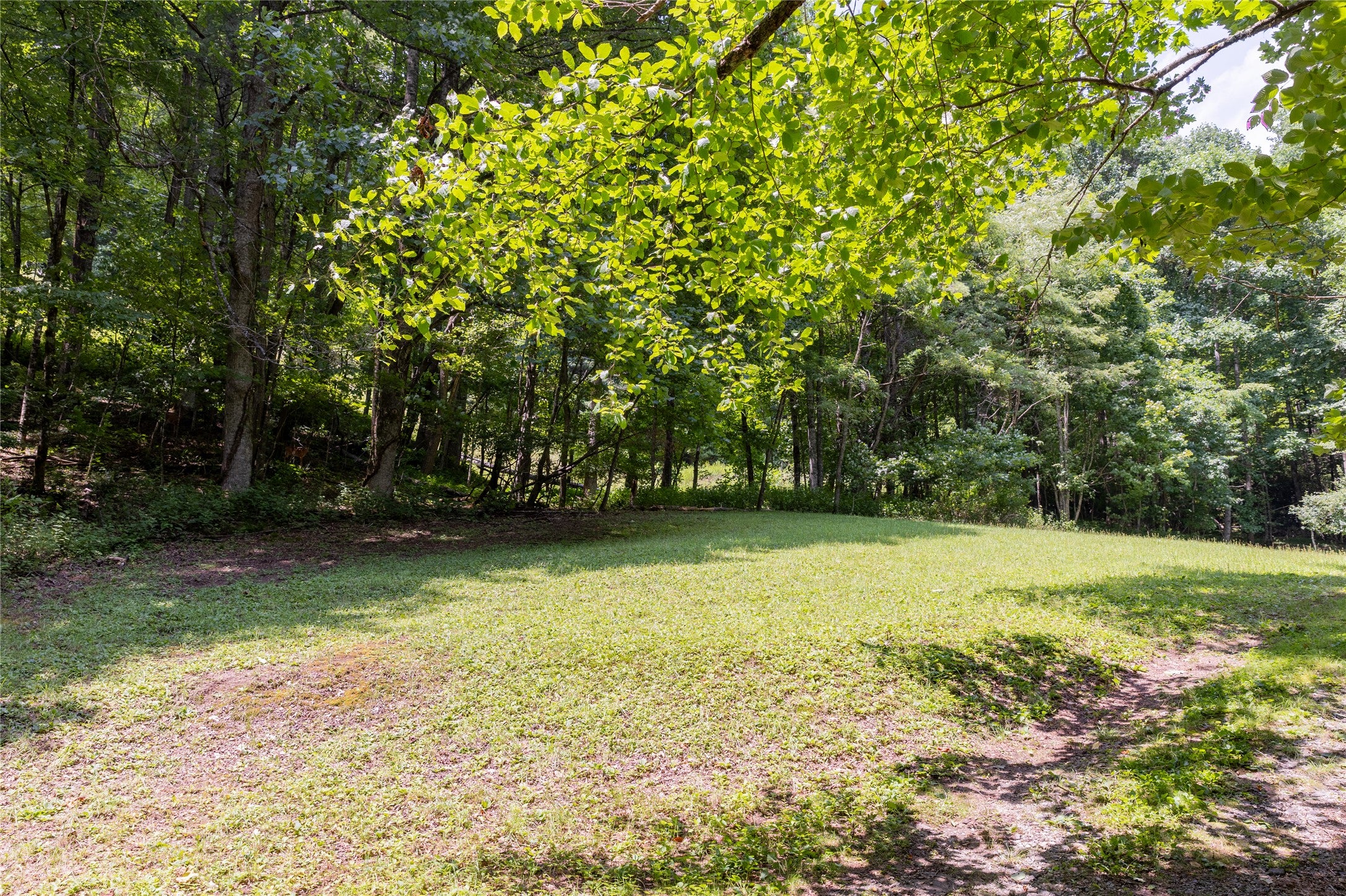 Tbd Aimless Hl Road Cashiers, NC 28717 - Photo 26 of 43 Gallery Image 26