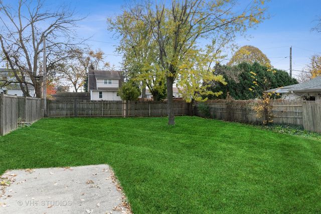 a view of a backyard with a tree