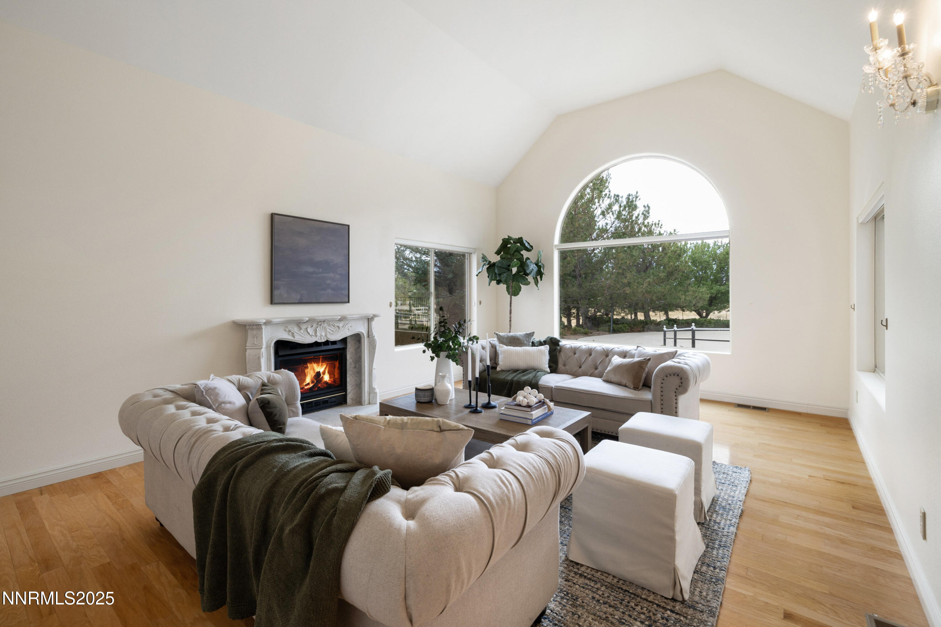 370 Genoa Lane Minden, NV 89423 - Photo 30 of 54 a living room with furniture a large window and a fireplace