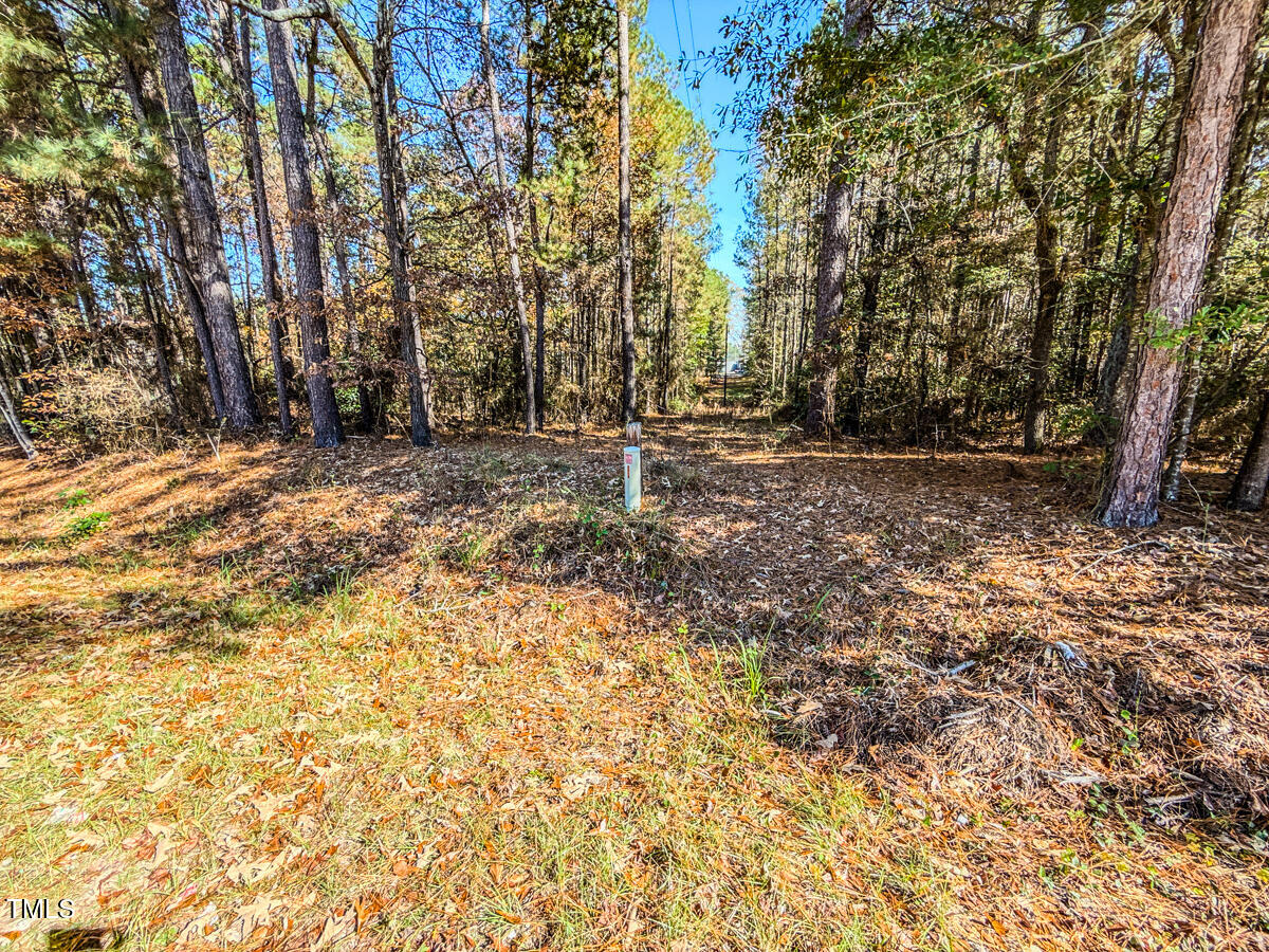 265 Aiken Road Vass, NC 28394 - Photo 16 of 39 7.01 - Beane - Moore Co.15