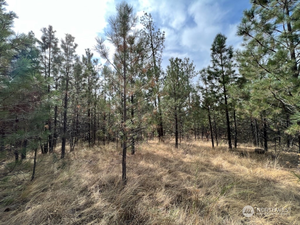 8 Chief Joseph Spur East Riverside, WA 98849 - Photo 3 of 9 Gallery Image 3