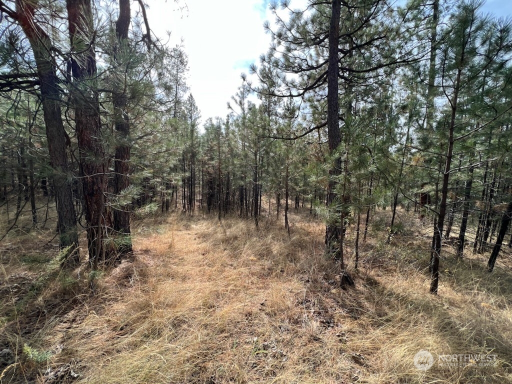 8 Chief Joseph Spur East Riverside, WA 98849 - Photo 5 of 9 Gallery Image 5