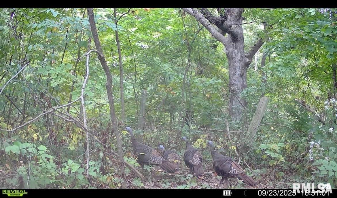 1401 Hickory Grove Road Lacon, IL 61540 - Photo 10 of 12