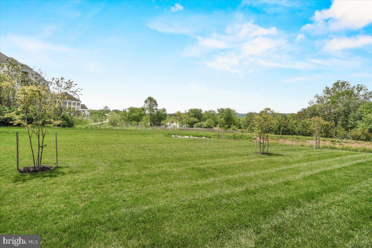 312 Hammersmith Circle Frederick, MD 21702 - Photo 28 of 41 a view of an outdoor space and a yard