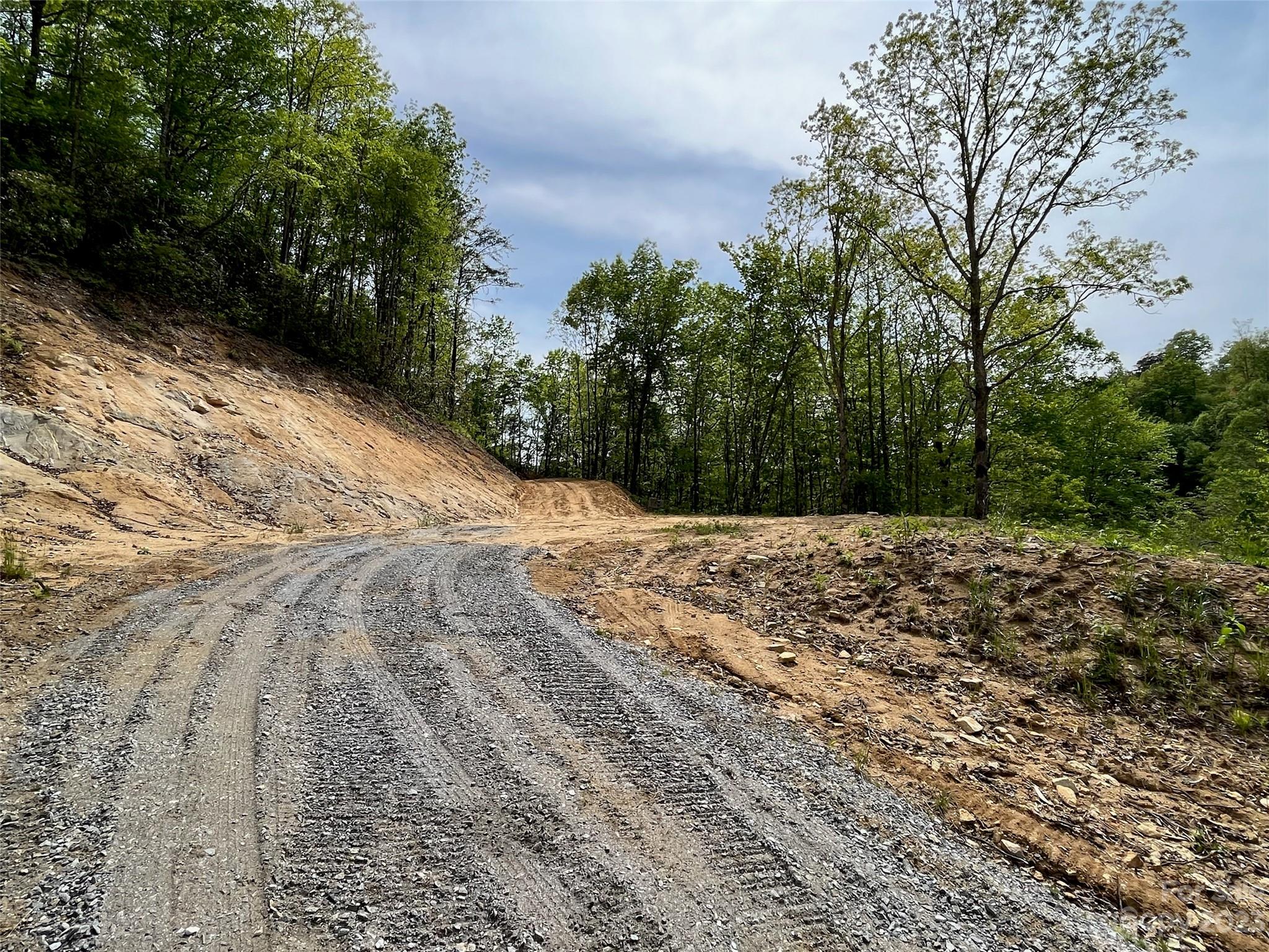 296 Luker Branch Road Tuckasegee, NC 28783 - Photo 2 of 10 a view of a backyard of the house