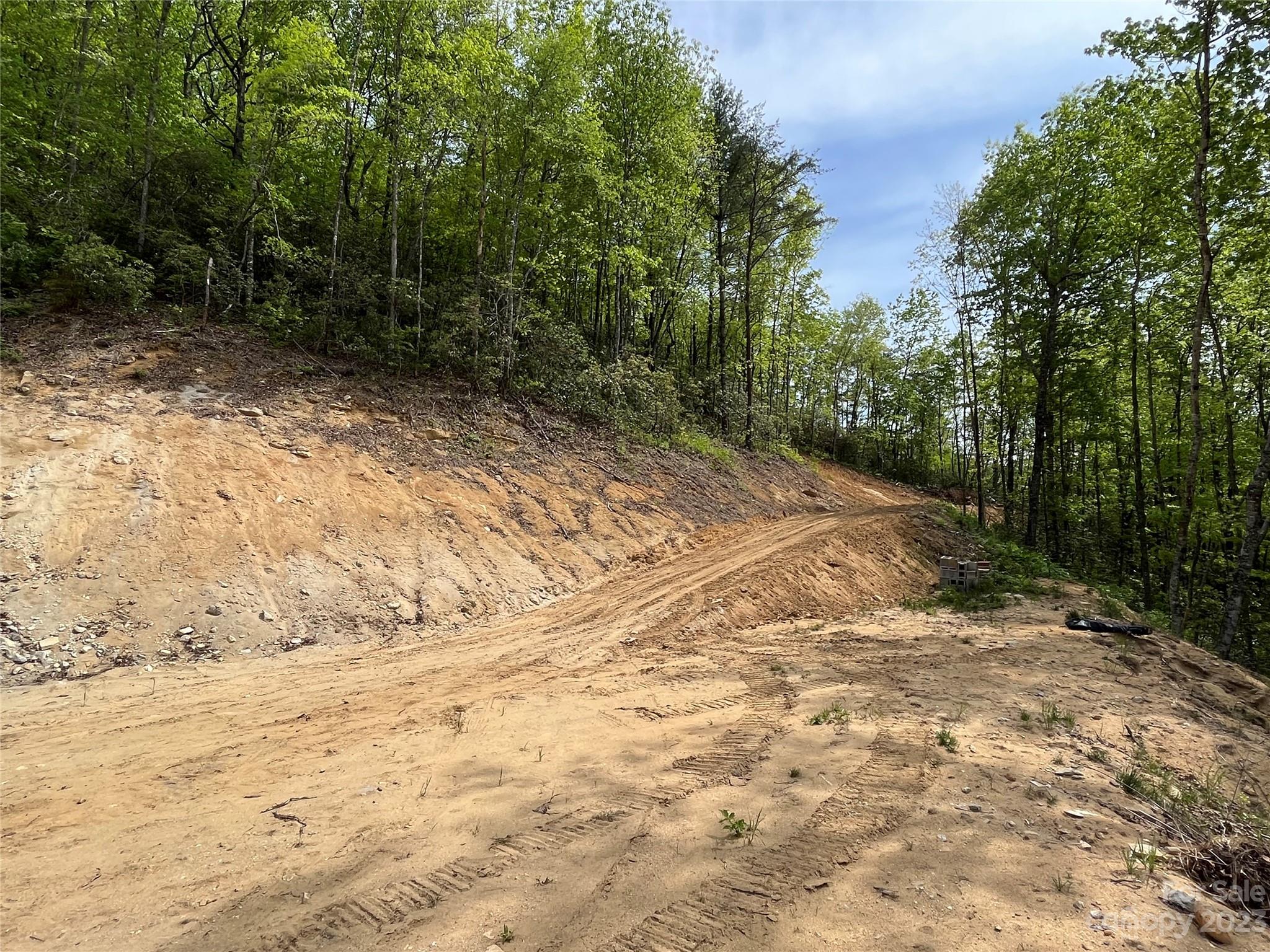 296 Luker Branch Road Tuckasegee, NC 28783 - Photo 4 of 10 a view of backyard with green space