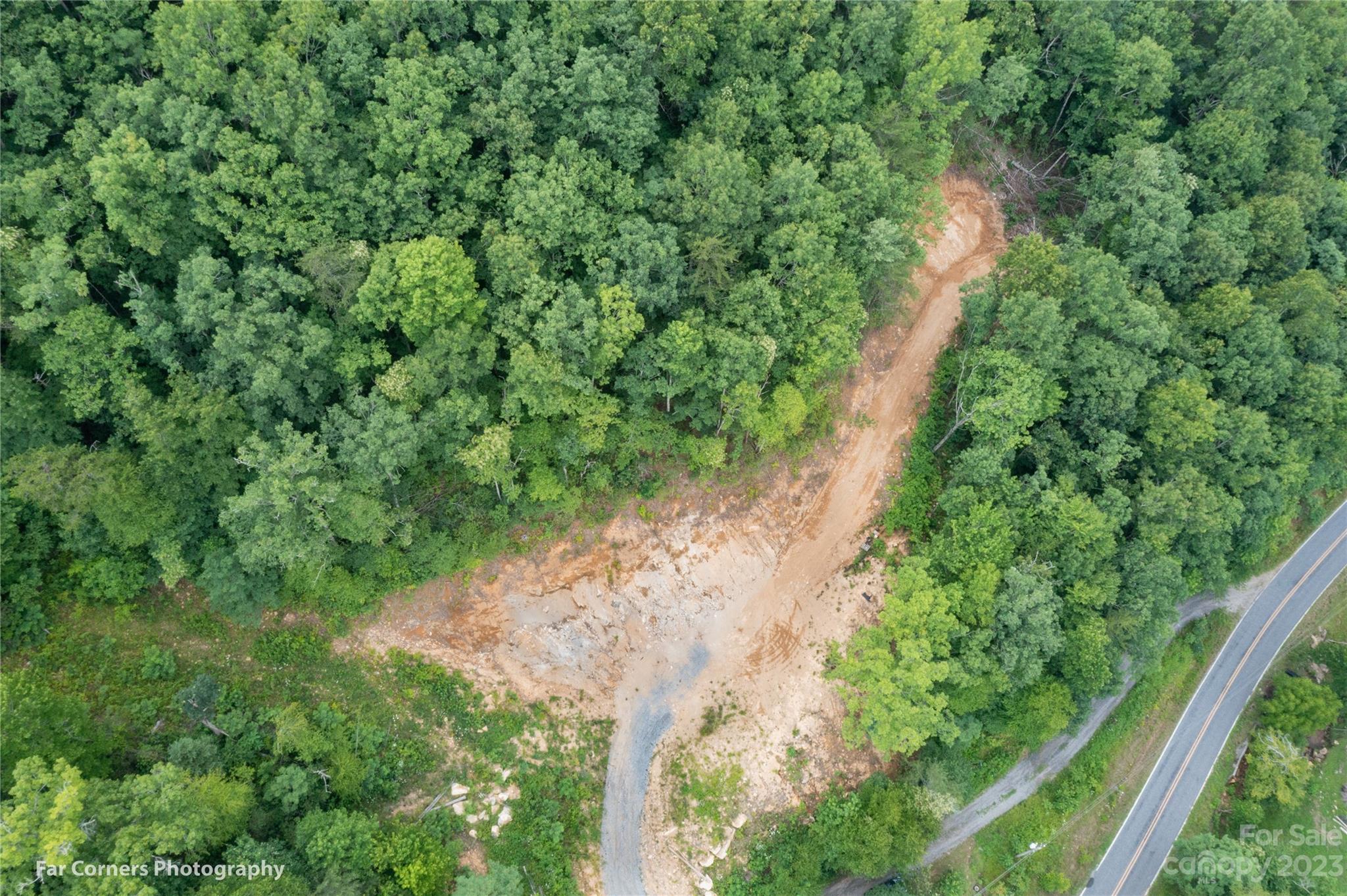 296 Luker Branch Road Tuckasegee, NC 28783 - Photo 5 of 10 a view of a yard with plants and a small yard
