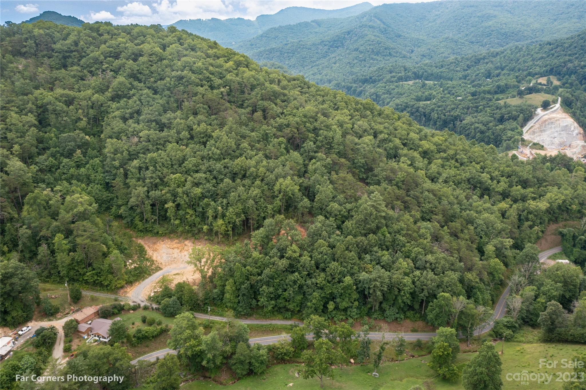 296 Luker Branch Road Tuckasegee, NC 28783 - Photo 7 of 10 a view of a lush green forest with a house