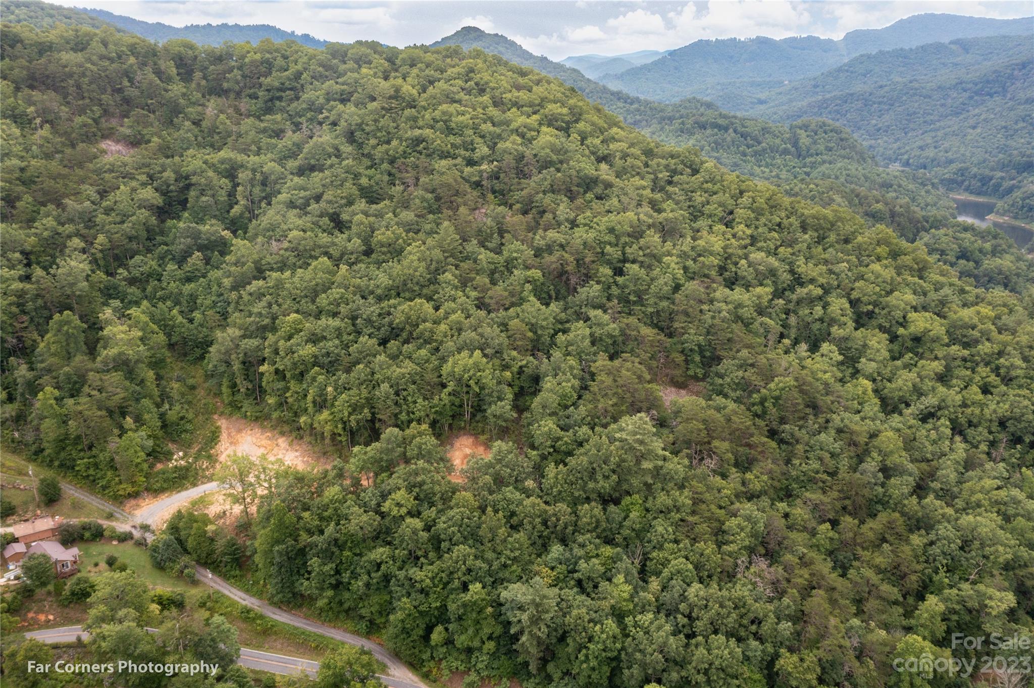 296 Luker Branch Road Tuckasegee, NC 28783 - Photo 8 of 10 a view of a forest with a lush green forest