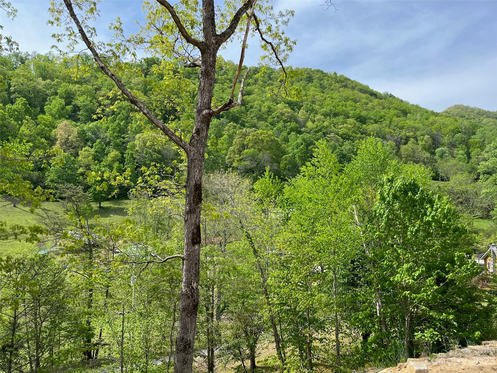 296 Luker Branch Road Tuckasegee, NC 28783 - Photo 9 of 10 a backyard of a house with lots of green space